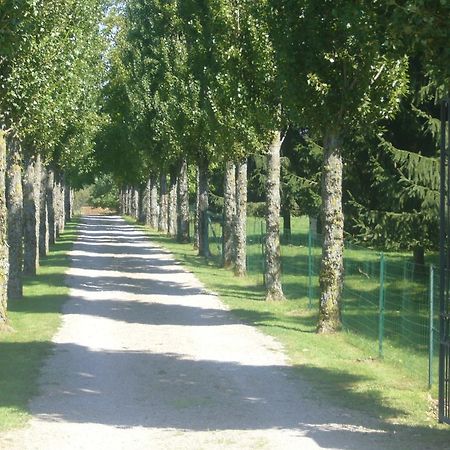 Allee Des Peupliers Bed and Breakfast Chevigny Exteriör bild